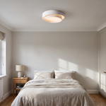 Kelvoy White Cylinder LED Ceiling Light Modern Round Light For Living Rooms